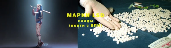 дживик Богородицк
