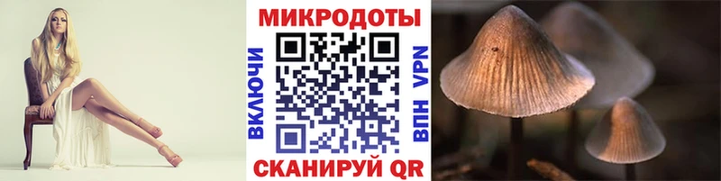 цена наркотик  MEGA ссылка  Псилоцибиновые грибы GOLDEN TEACHER  Волжск 
